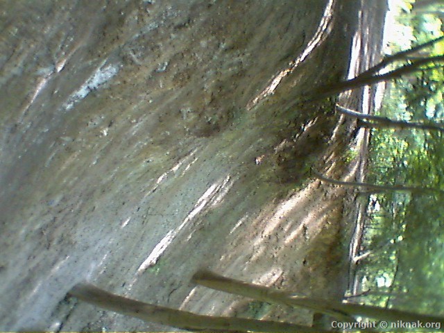 35EA0001.jpg