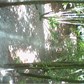 Thumbnail for '35EA0002.jpg'