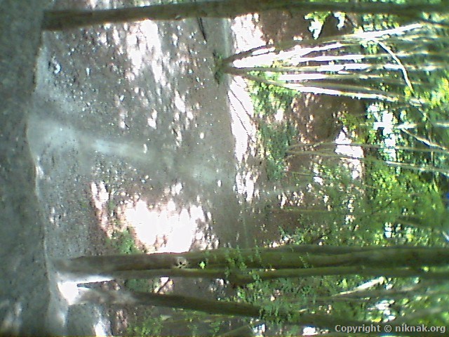 35EA0002.jpg