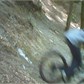 Thumbnail for '35EB0008.jpg'