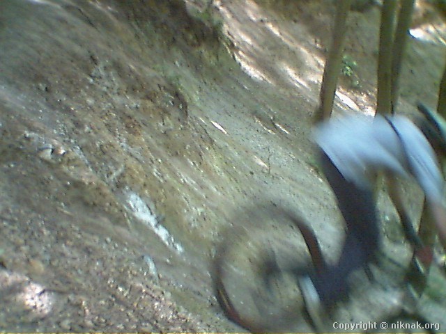 35EB0008.jpg