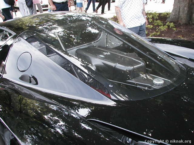P7110019.JPG