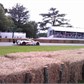 Thumbnail for 'IMAG0588.jpg'
