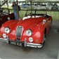Thumbnail for '20100801_043.jpg'