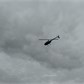 Thumbnail for '2017-04-15 11.00.55.jpg'