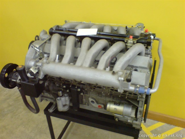 DSC00780.JPG