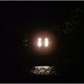 Thumbnail for 'DSC00185.JPG'