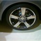 Thumbnail for '454B1555.jpg'
