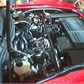 Thumbnail for '454B1556.jpg'