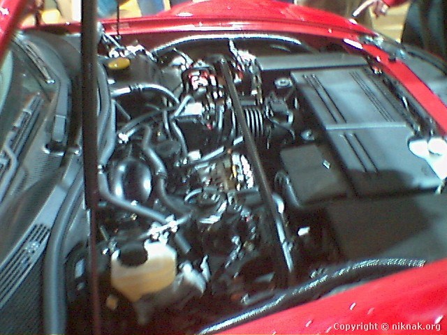 454B1556.jpg