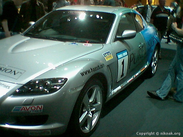 454B1558.jpg