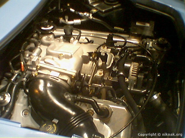454C1578.jpg