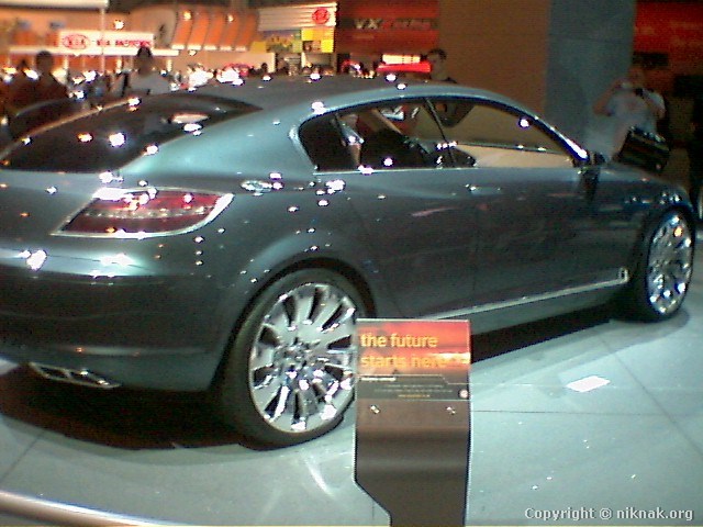 454C1582.jpg
