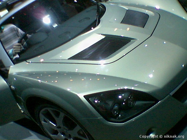 454C1589.jpg
