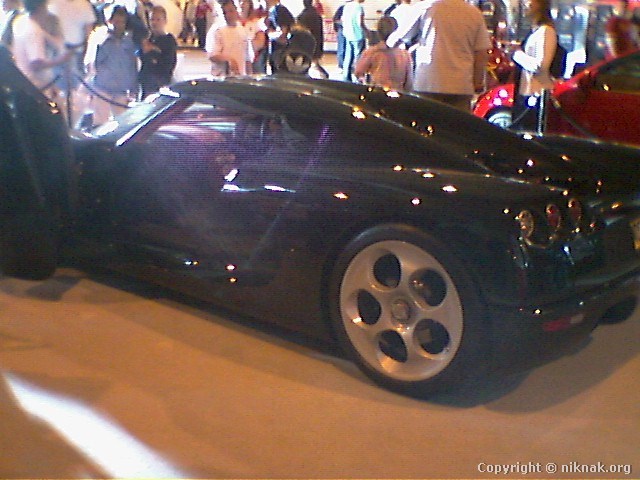 454C1591.jpg