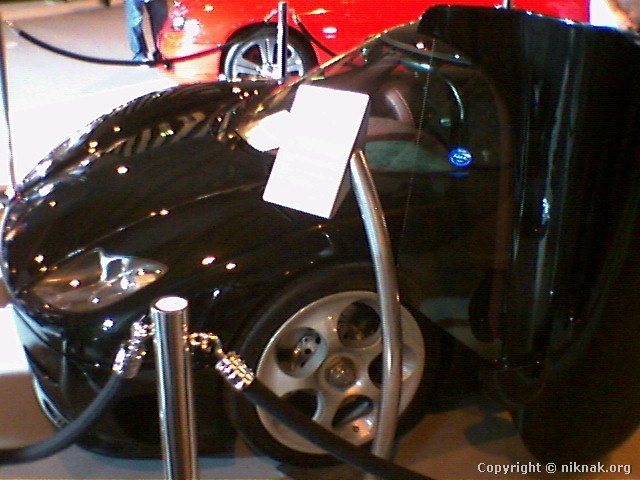 454C1594.jpg