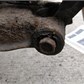 Thumbnail for '2020-08-14 15.29.20.jpg'