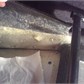 Thumbnail for 'DSC01097.JPG'