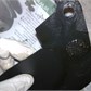 Thumbnail for 'Image125.jpg'