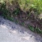 Thumbnail for '02082009356.jpg'
