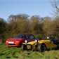 Thumbnail for 'IMG_9518-1.jpg'