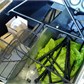Thumbnail for '20100604_001.jpg'