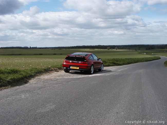 P1010009.jpg
