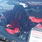 Thumbnail for 'P1010070.jpg'