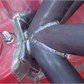 Thumbnail for 'DSC00487.JPG'