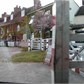 Thumbnail for 'P1010018.jpg'