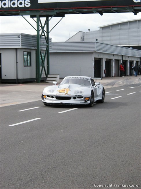 P1010057.jpg