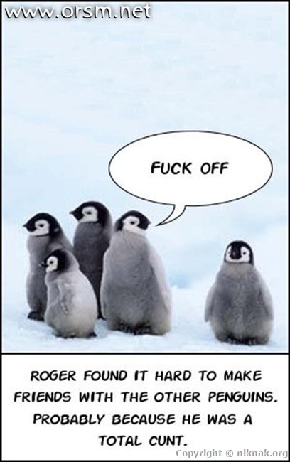 nigelpenguin0gz.jpg