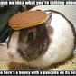 Thumbnail for 'pancakebunny.jpg'