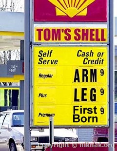 shell.jpg