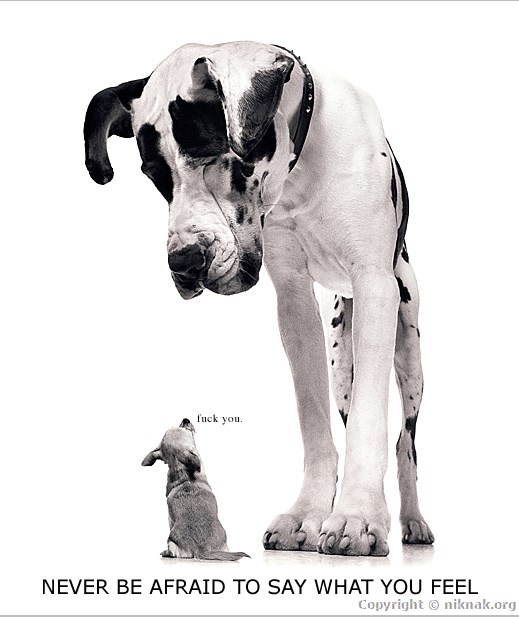 thoughtoftheday.JPG