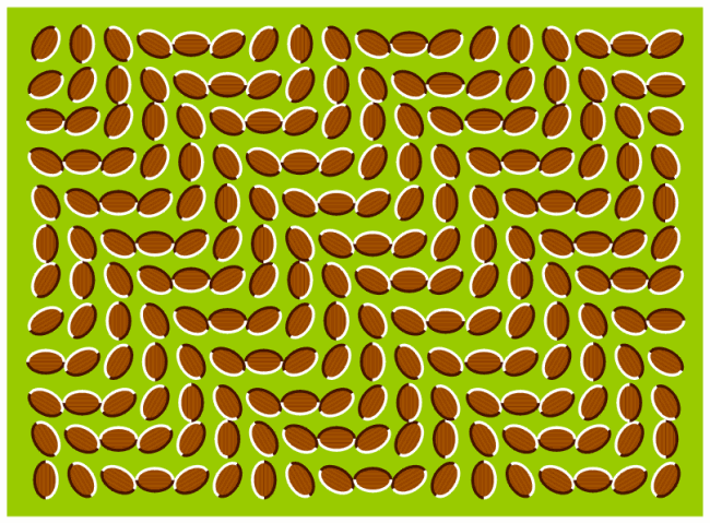 trippy.gif