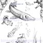 Thumbnail for 'whole.jpg'