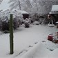 Thumbnail for 'DSC00343.JPG'