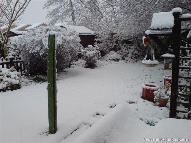 DSC00343.JPG