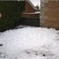 Thumbnail for '10012010444.jpg'