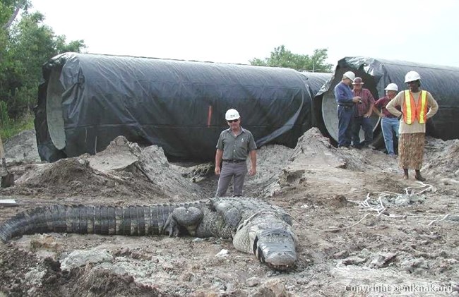 Petro_1.jpg