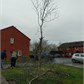 Thumbnail for '2017-02-27 09.43.59.jpg'