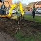 Thumbnail for '2017-03-04 08.47.31.jpg'