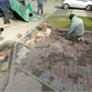 Thumbnail for '2017-03-07 10.11.10.jpg'