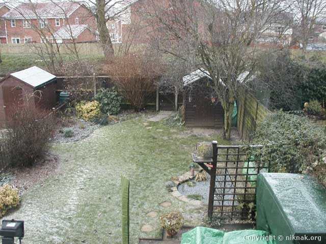 snowback.jpg