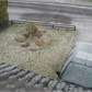 Thumbnail for 'snowfront.jpg'
