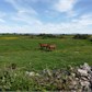 Thumbnail for '2016-06-02 10.26.40.jpg'