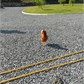 Thumbnail for '2016-06-03 09.35.39.jpg'