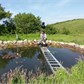 Thumbnail for '2016-06-03 10.28.41.jpg'