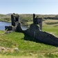 Thumbnail for '2016-06-04 13.01.40.jpg'